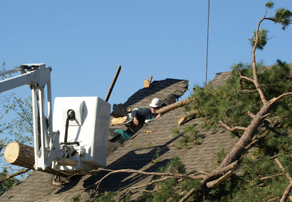 Prepping a trunk for removal