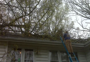 Crane Lifting tree trunk off of house