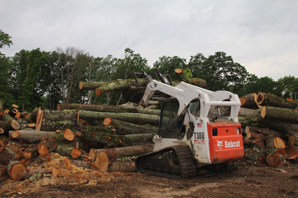 Chattanooga Tree Service's Bobcat