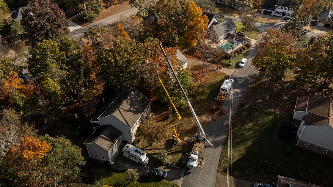 Removing a large difficult tree between houses