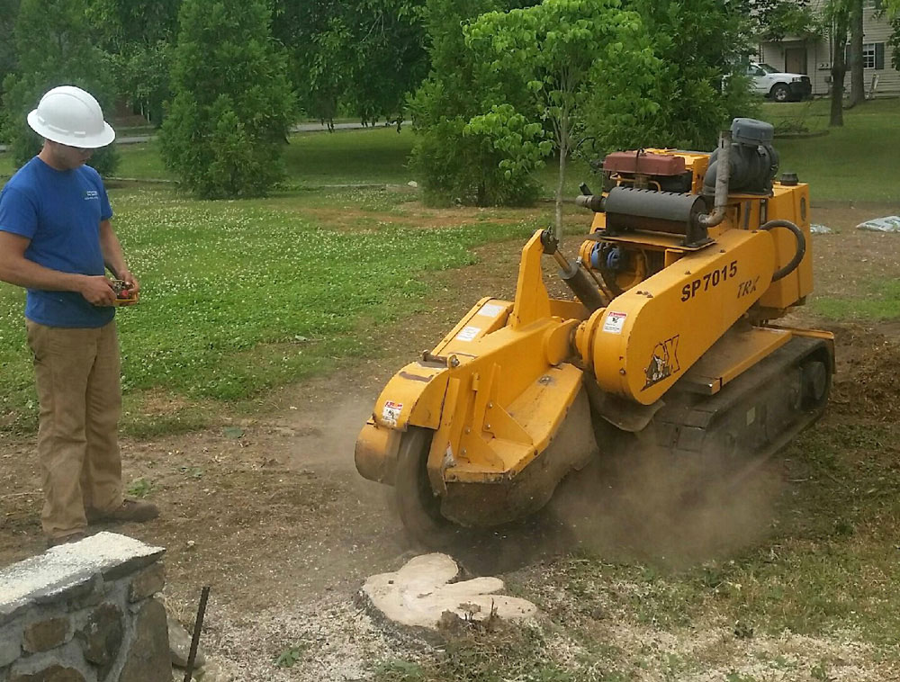 Chattanooga Tree Service's Stump Grinder