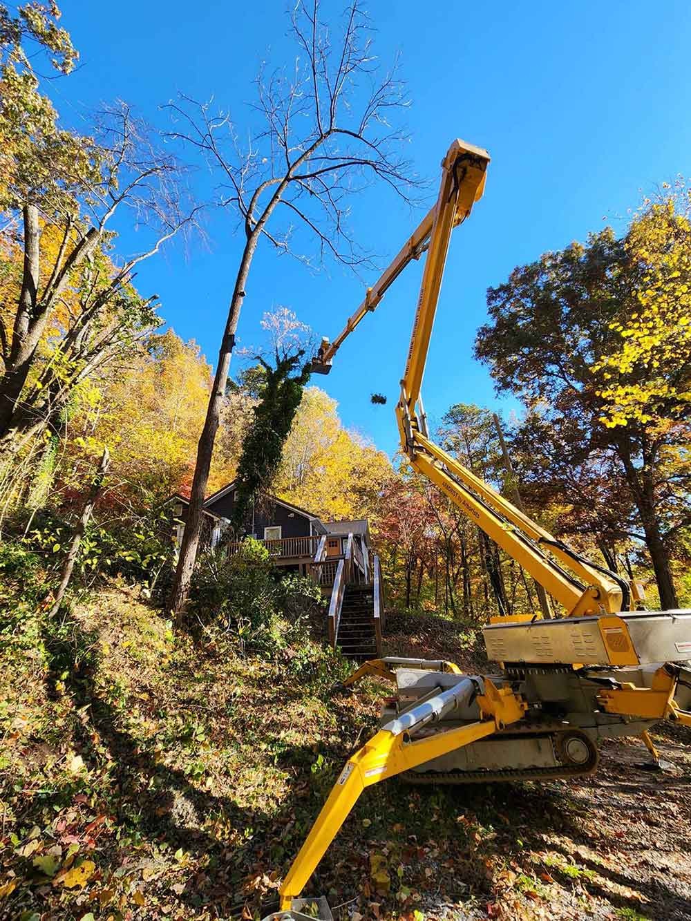 Chattanooga Tree Service's Tracked Lift