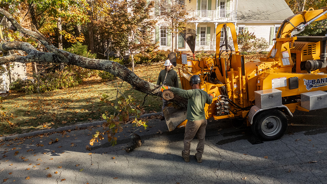 Chattanooga Tree Service's Chipper in action