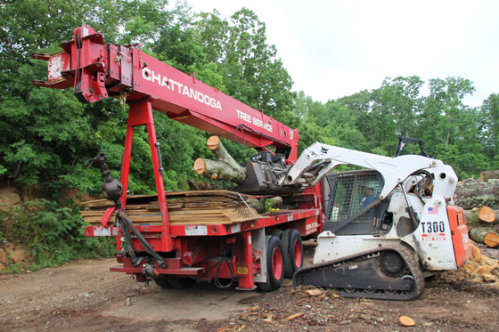 Tree Chipper feed the back of a Truck