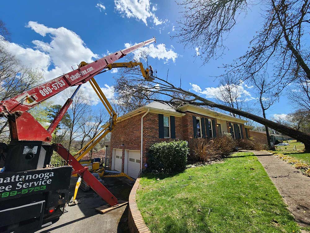 Tree fallen on a house